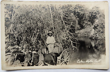 Vintage Antique CUBA RPPC Real Photo Postcard Cuban Water Cart Horses Barrels picture