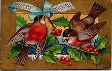c1910s MERRY CHRISTMAS Embossed Postcard Robin Birds / Holly Branch / nostalgia picture