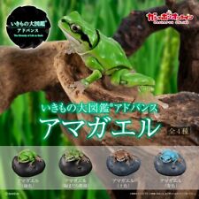 Bandai Biology map Premium Gashapon Tree Frog Miniature Toy 4 pcs/set  picture