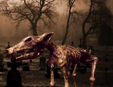 Decayed Corpse Skeleton Zombie Dog with Motion Activated Sound and Red LED Eyes picture