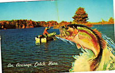 Exaggeration Man Fishing Huge Leaping Fish California Unused Postcard picture