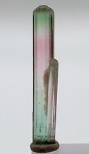 Top Bi-Colour Tourmaline Crystal From Laghman Mine. picture