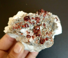 Garnet With Mica From Gilgit,Pakistan. picture