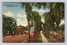 Ormond Beach FL-Florida, Palm Promenade to Beach, Vintage Souvenir Postcard picture