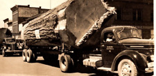 Vintage RPPC Postcard Snohomish Wa Giant Fir Logs Coca Cola Logging picture