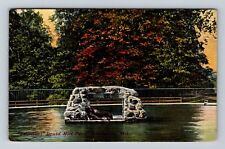 Baltimore MD-Maryland, Sea Lions, Druid Hill Park, Vintage c1911 Postcard picture