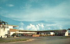 Postcard FL Clearwater Florida Shelby Plaza Motel Chrome Vintage PC f6209 picture