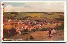 Livingston Manor New York~Annual Salt Water Day Outing~c1905 Postcard picture