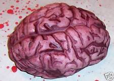 Bloody Brain Halloween Prop Science Stage Party Decoration Body Parts Gag NIP picture
