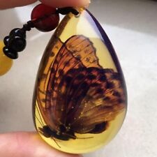 Butterfly Amber Fossil Insects Samples Stones Crystal Specimens Oval Pendants picture