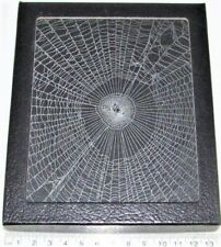 Orb weaver spider web framed preserved USA W23 picture