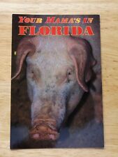 VINTAGE YOUR MAMA'S IN FLORIDA  POSTCARD * 4  X 6 *  picture
