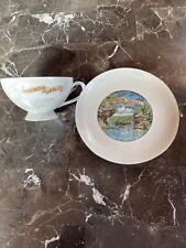 RARE EARLY VINTAGE WISCONSIN DELLS  SOUVENIR CHINA TEA CUP SAUCER JAPAN picture