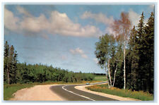 c1950's Bird's Hill Provincial Park Manitoba Canada Vintage Postcard picture