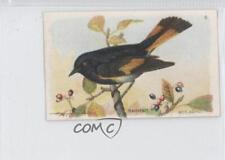 1935 Arm & Hammer Useful Birds of America Series 8 Redstart #6 0a1 picture