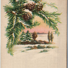 c1900s UDB Van Tassell, Wyo. Wyoming Holiday Greetings WY 1917 Christmas PC A206 picture