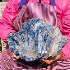 4200g Rare Blue Crystal Natural Kyanite Rough Gem mineral Specimen Healing 627 picture