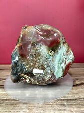 Rare mix color  red brown white black petrified wood polished 6105gr 449 picture