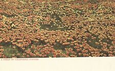 A Field of California Poppies Postcard picture