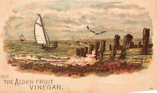 1880s-90s Sailboat Ocean Segal Alden Fruit Vinegar HC Ackmann Staple Trade Card picture