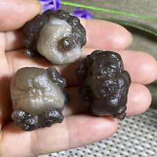 3pcs Bonsai Suiseki-Natural Gobi Agate Eyes Stone-Rare Stunning Viewing 58g A20 picture