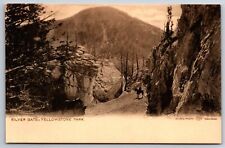 Yellowstone Park Montana~Man on Horseback @ Silver Gate~c1905 B&W Postcard picture