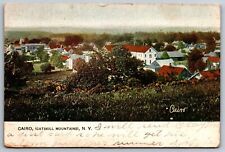 Vintage Postcard Residence Houses Trees Cairo Catskill Mountains New York NY picture