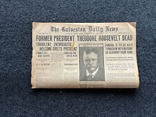 1919 Teddy Roosevelt Memorial Section, Roosevelt Day, Theodore Roosevelt Death  picture