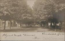 1905 RPPC Randolph,NE Jamestown Street Cedar County Nebraska Real Photo Postcard picture