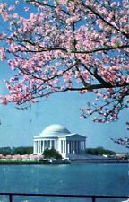 Jefferson Memorial Washington D.C. Posted Cherry Tree Vintage Chrome Post Card picture