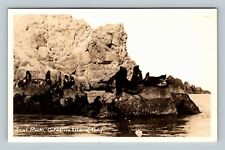 RPPC Catalina Island CA, Seals On Seal Rocks, California, Vintage Postcard picture