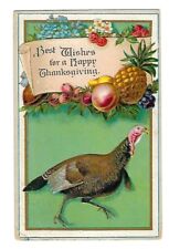 c1913 Thanksgiving Postcard Wild Turkey - Hudson Terminal Station, N.Y. Embossed picture