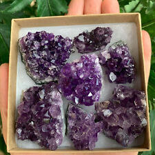 Raw Amethyst Cluster Druzy Collection Box: 6-8 oz Box Lot, Deep Purple Amethyst picture