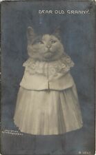 Rotograph Dressed Cat RPPC Postcard B-1248 Dear Old Granny, c1906, Posted picture
