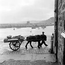 Horse And Cart In St Ives Cornwall 1954 OLD PHOTO 2 picture