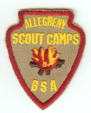 Allegheny Scout Camps Arrowhead, Bright Yellow Letters/Mesh Back, PA picture