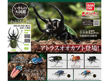 Gashapon The Diversity of Life on Earth Beetle Figure vol.6 Complete Set New picture