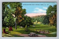 Peoria IL-Illinois Detweiler Park Picnic Grounds Vintage Souvenir Postcard picture