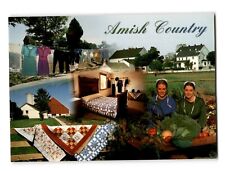 Vintage Chrome Postcard Amish Country Quilts Vegetables Clothesline PA picture