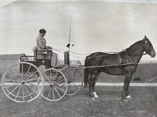 Antique Carriage with Lantern Buggy & Horse Woman Driver Original Antique Photo picture