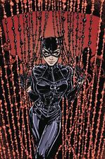 Catwoman #11 DC Comics Comic Book picture