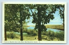 Postcard Scene on Beautiful Saint John River, New Brunswick Canada R86 picture