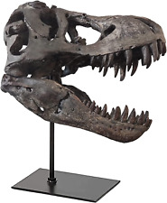 T-Rex Skull Statue Home Office Desktop Shelf Decor Dinosaur Head Sculptures  picture