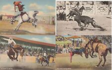 COWBOYS USA on Horses and Bulls 28 Vintage Postcards Mostly Pre-1950 (L3891) picture
