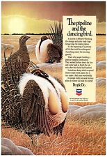 Chevron Wyoming Pipeline Sage Grouse 1987 Vintage Print Advertisement 6.75