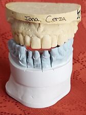 GENUINE Plaster Dental Molds Teeth Mouth Cast Medical Oddity Oddities Halloween  picture