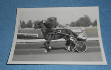 1970s Harness Racing Press Photo Horse 