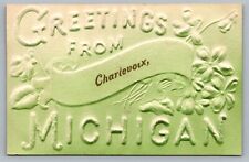 c1910 Greetings From Charlevoix Michigan Airbrush Embossed Antique Postcard C6 picture