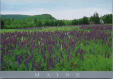 Mount Desert Island Maine Beautiful Lupine Meadow Home Barn picture