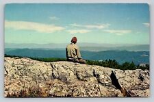 Young Man Admires View On Roof Top of Virginia Mount Rogers VINTAGE Postcard picture